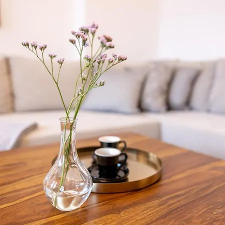 Apartment Fynbos Theaterblick, Historisch & Stilvoll, Parkplatz Meissen